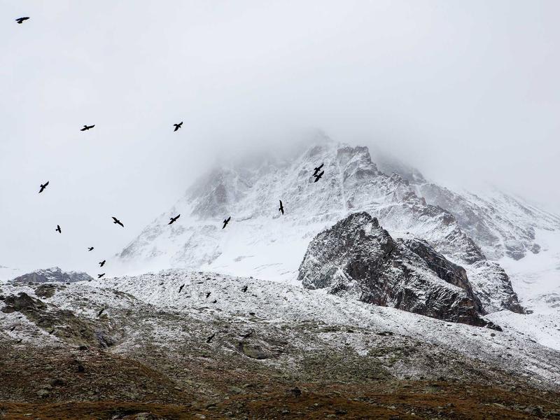 sudoku classic screenshot 1